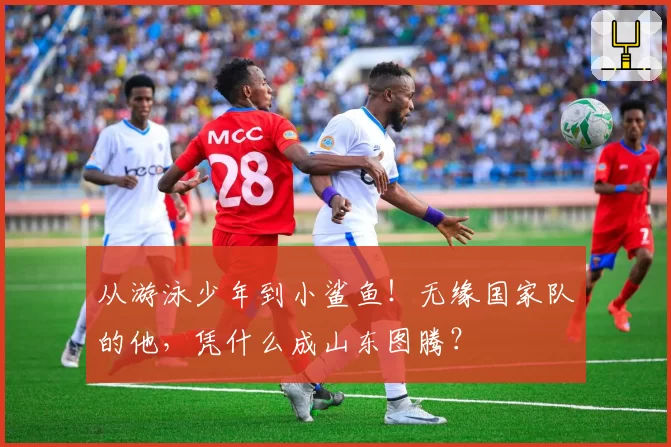 从游泳少年到小鲨鱼！无缘国家队的他，凭什么成山东图腾？