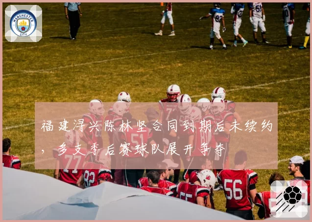 福建浔兴陈林坚合同到期后未续约,多支季后赛球队展开争夺